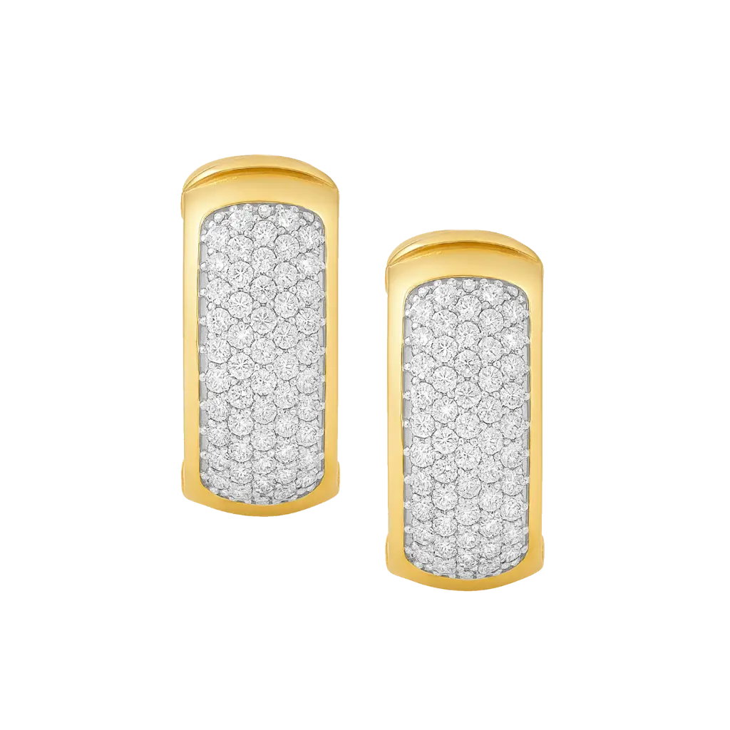 WEBSIZE_Huggie Hoops_3_.webp