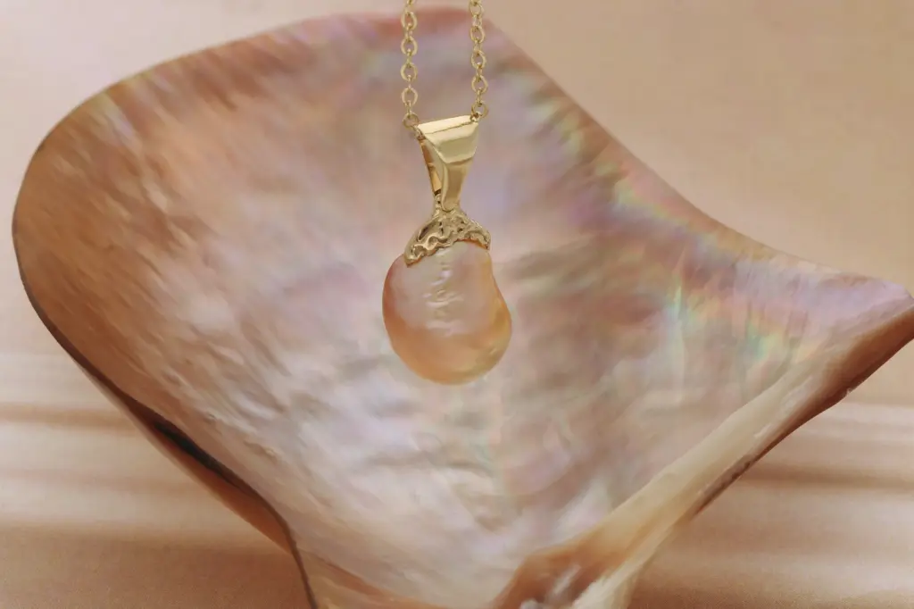 WEBSIZE_Apricot Pearl on shel.webp