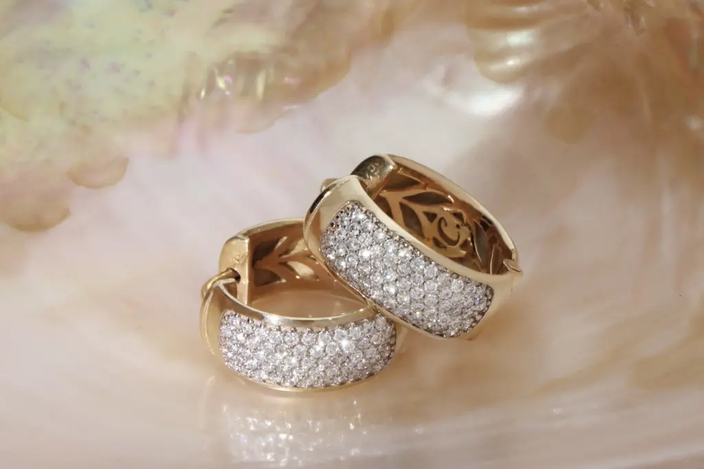 WEBSIZE_Diamond and Gold Higgie Hoops_1_.webp