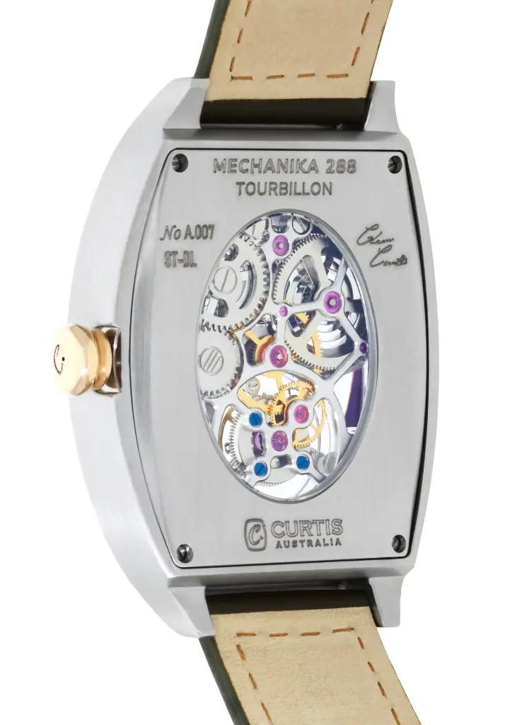 Aurora back shot 2_.webp