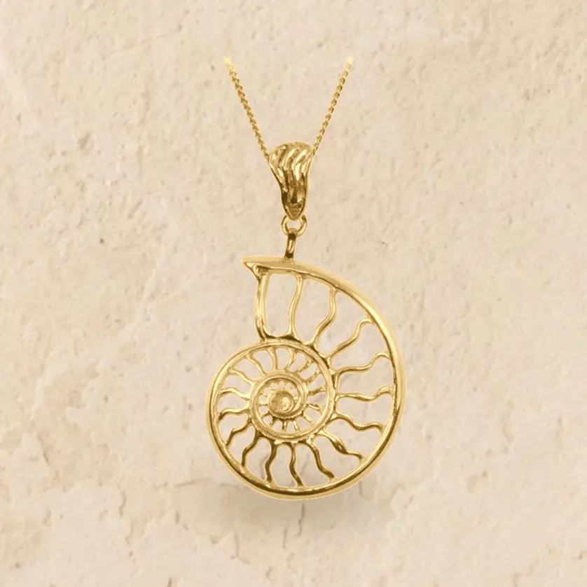 WEBSIZE_Pendant Ammonite on sandstone.webp