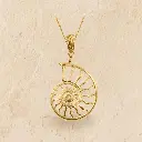 WEBSIZE_Pendant Ammonite on sandstone.webp
