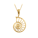 Ammonite Pendant